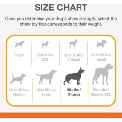 Nylabone Power Chew Customer Favorites Dog Chew Toy Bundle Customer Favorites Bundle Variety -Blue Buffalo Shop 175398 PT4. AC SS1800 V1692212134