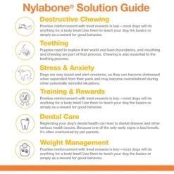 Nylabone Power Chew Customer Favorites Dog Chew Toy Bundle Customer Favorites Bundle Variety -Blue Buffalo Shop 175398 PT8. AC SS1800 V1685650134