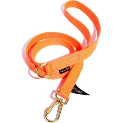Found My Animal Rescue Orange Project Dog Leash