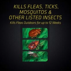 Black Flag Flea & Tick Killer Concentrate Yard Treatment -Blue Buffalo Shop 180087 PT4. AC SS1800 V1563285439