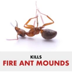 Spectracide Fire Ant Shield Mound Destroyer Granules -Blue Buffalo Shop 180125 PT2. AC SS1800 V1563808359