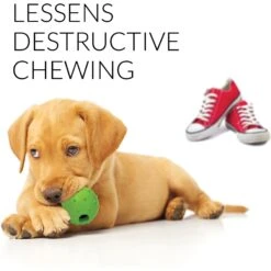 Rocket & Rex Puppy Chew Toy Variety Pack For Small To Medium Breeds -Blue Buffalo Shop 180484 pt4. AC SS1800 V1564597080