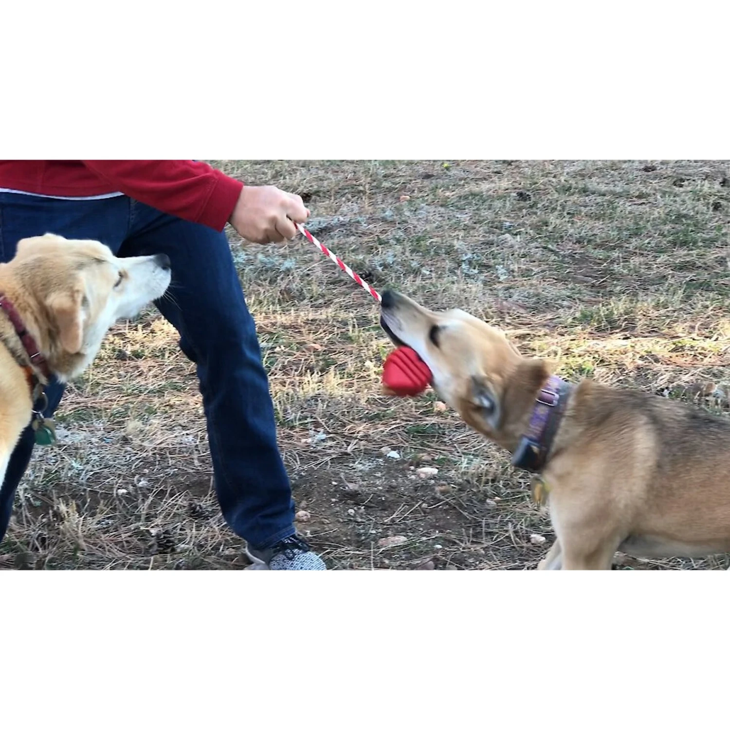 MuttsKickButt Heart On A String Treat Dispensing Tough Dog Chew Toy 8 MuttsKickButt Heart On A String Treat Dispensing Tough Dog Chew Toy - Image 6