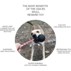 USA-K9 Magnum Skull Treat Dispensing Tough Dog Chew Toy -Blue Buffalo Shop 181070 PT4. AC SS1800 V1564608443