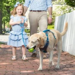 Kurgo Humble Polyester Dog Leash -Blue Buffalo Shop 181174 PT3. AC SS1800 V1600728966