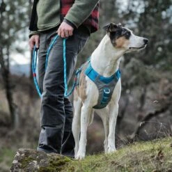 Kurgo Humble Polyester Dog Leash -Blue Buffalo Shop 181174 PT4. AC SS1800 V1600737704