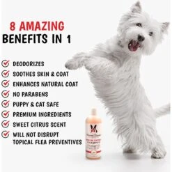 Warren London Neem Oil Flea & Tick Itch Relieving Dog Shampoo 9 Warren London Neem Oil Flea & Tick Itch Relieving Dog Shampoo -Blue Buffalo Shop 183110 PT2. AC SS1800 V1660255156