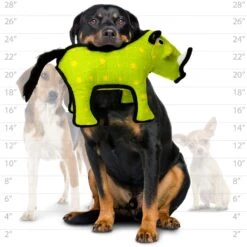 Tuffy's Desert Warthog Plush Dog Toy 11 Tuffy's Desert Warthog Plush Dog Toy -Blue Buffalo Shop 184030 PT3. AC SS1800 V1589570527