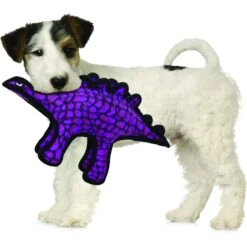 Tuffy's Jr Dinosaur Stegosaurus Plush Dog Toy 10 Tuffy's Jr Dinosaur Stegosaurus Plush Dog Toy -Blue Buffalo Shop 184065 PT2. AC SS1800 V1589570791