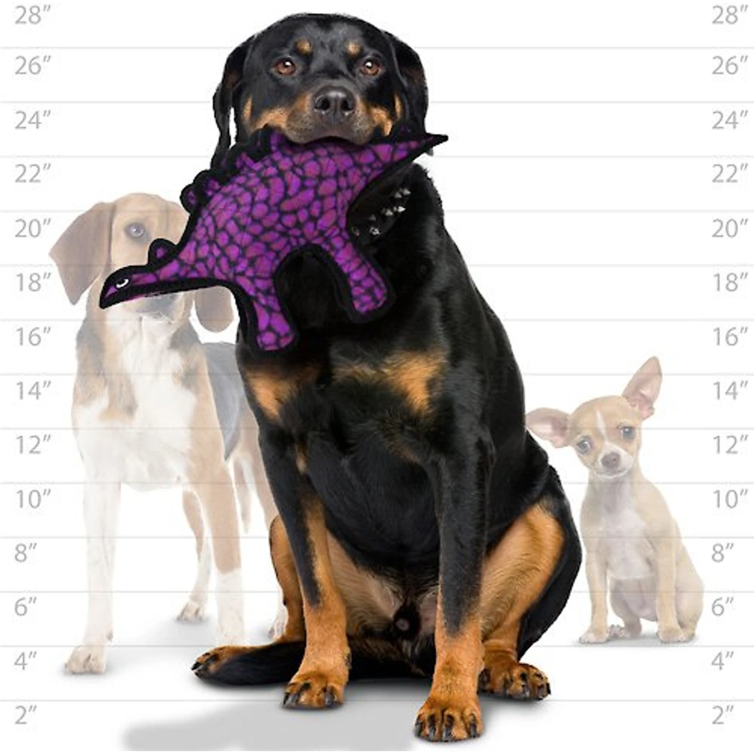 Tuffy's Jr Dinosaur Stegosaurus Plush Dog Toy 6 Tuffy's Jr Dinosaur Stegosaurus Plush Dog Toy - Image 4