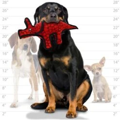 Tuffy's Jr Dinosaur Triceratops Plush Dog Toy 11 Tuffy's Jr Dinosaur Triceratops Plush Dog Toy -Blue Buffalo Shop 184067 PT3. AC SS1800 V1564002417