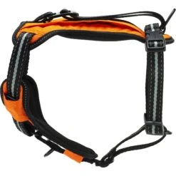 PetSafe Walk Along Nylon Reflective Back Clip Dog Harness -Blue Buffalo Shop 184970 Pt1. AC SS1800 V1564672935