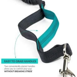 Tuff Mutt Hands Free Bungee Dog Leash -Blue Buffalo Shop 187016 PT3. AC SS1800 V1564783626