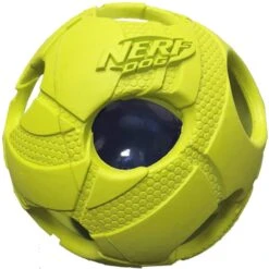 Nerf Dog Light Up LED Bash Ball Dog Toy -Blue Buffalo Shop 187188 PT1. AC SS1800 V1564781020