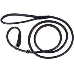 CollarDirect Rolled Leather Dog Slip Lead