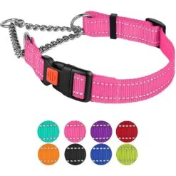 CollarDirect Nylon Reflective Martingale Dog Collar