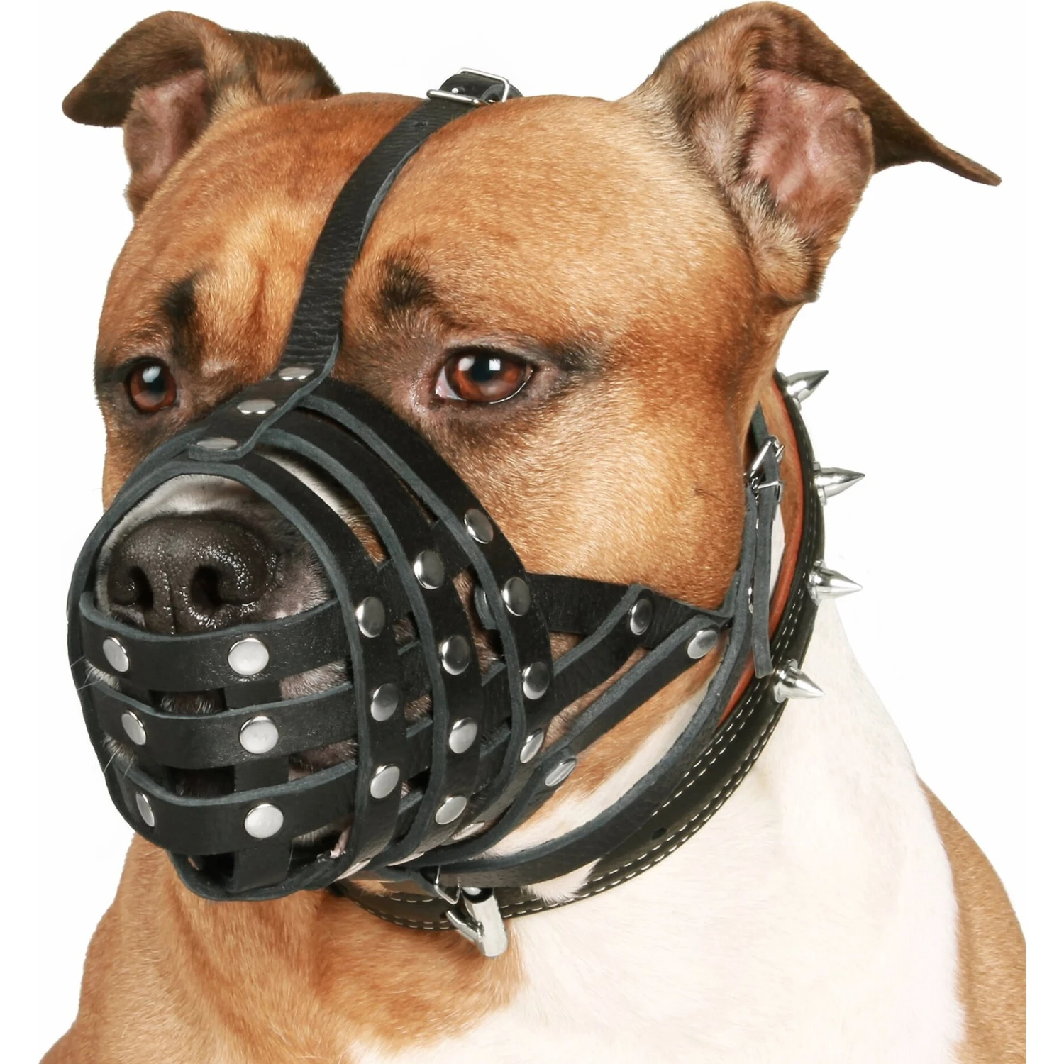 CollarDirect Leather Basket Dog Muzzle For Pitbull 4 CollarDirect Leather Basket Dog Muzzle For Pitbull - Image 2
