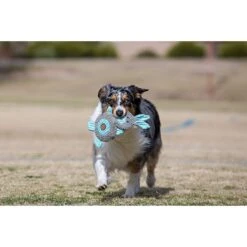 Charming Pet Animates Lamb Squeaky Plush Dog Toy -Blue Buffalo Shop 190561 PT2. AC SS1800 V1594670270