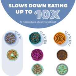 Outward Hound Fun Feeder Slow Feeder Dog Bowl -Blue Buffalo Shop 190604 PT1. AC SS1800 V1694440045