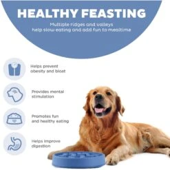 Outward Hound Fun Feeder Slow Feeder Dog Bowl -Blue Buffalo Shop 190604 PT3. AC SS1800 V1694286652