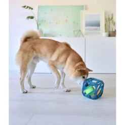 Outward Hound Puzzle Cube Interactive Dog Toy -Blue Buffalo Shop 190628 PT5. AC SS1800 V1636522349