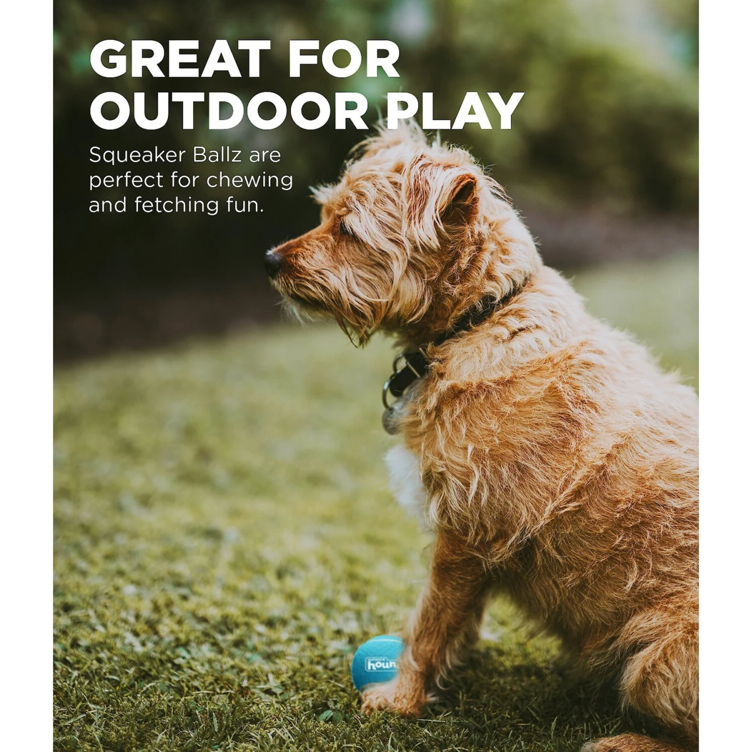 Outward Hound Squeaker Ballz Dog Toy 6 Outward Hound Squeaker Ballz Dog Toy - Image 4