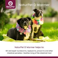 NaturPet D Wormer Natural Remedy For Cats & Dogs 9 NaturPet D Wormer Natural Remedy For Cats & Dogs -Blue Buffalo Shop 191462 PT2. AC SS1800 V1568239322
