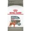 Royal Canin Canine Care Nutrition Medium Dental Care Dry Dog Food -Blue Buffalo Shop 192002 MAIN. AC SS1800 V1695156231