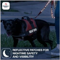 Industrial Puppy Deaf Dog Harness Patches, 2 Count -Blue Buffalo Shop 193787 PT5. AC SS1800 V1671813772