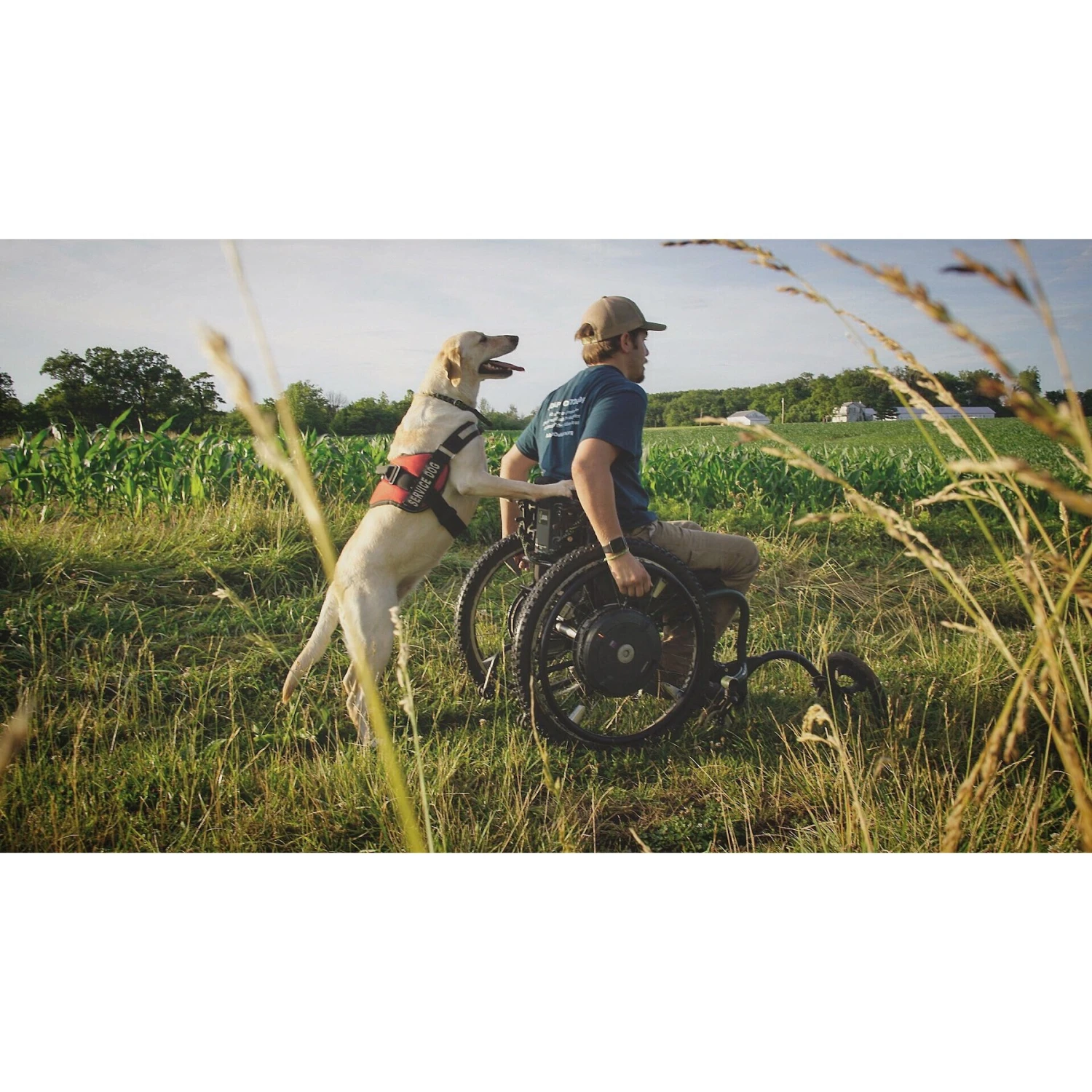 Industrial Puppy Therapy Dog Harness Patch, 2 Count 8 Industrial Puppy Therapy Dog Harness Patch, 2 Count - Image 6