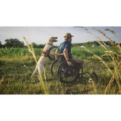 Industrial Puppy Therapy Dog Harness Patch, 2 Count 15 Industrial Puppy Therapy Dog Harness Patch, 2 Count -Blue Buffalo Shop 193809 PT6. AC SS1800 V1566938519