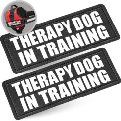 Industrial Puppy Therapy Dog In Training Harness Dog Patch