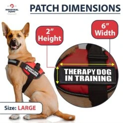 Industrial Puppy Therapy Dog In Training Harness Dog Patch -Blue Buffalo Shop 193814 PT2. AC SS1800 V1672410924