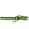 Wagberry Allure Dog Leash, Navy Blue/Green 1 Wagberry Allure Dog Leash, Navy Blue/Green -Blue Buffalo Shop 194070 MAIN. AC SS1800 V1649736986
