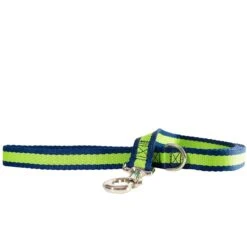 Wagberry Allure Dog Leash, Navy Blue/Green