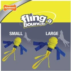 Nylabone Power Play Fling-a-Bounce Dog Fetch Toy -Blue Buffalo Shop 195436 PT5. AC SS1800 V1685645745