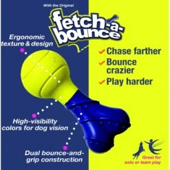 Nylabone Power Play Rubber Fetch-a-Bounce Dog Toy 13 Nylabone Power Play Rubber Fetch-a-Bounce Dog Toy -Blue Buffalo Shop 195443 PT2. AC SS1800 V1685645742