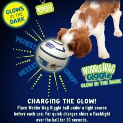 Wobble Wag Giggle Ball Glow In The Dark Squeaky Dog Toy -Blue Buffalo Shop 205654 PT3. AC SS1800 V1572363196