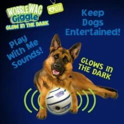 Wobble Wag Giggle Ball Glow In The Dark Squeaky Dog Toy -Blue Buffalo Shop 205654 PT4. AC SS1800 V1572363180