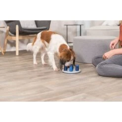 TRIXIE Solitaire Dog Activity Strategy Game Dog Toy -Blue Buffalo Shop 207413 PT3. AC SS1800 V1668617443