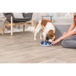 TRIXIE Solitaire Dog Activity Strategy Game Dog Toy -Blue Buffalo Shop 207413 PT5. AC SS1800 V1668617385