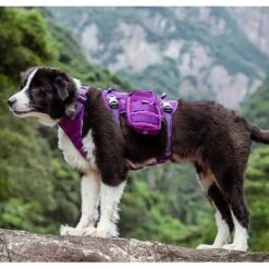 Chai's Choice Rover Scout High-Performance Tactical Military Backpack Waterproof Dog Harness 14 Chai's Choice Rover Scout High-Performance Tactical Military Backpack Waterproof Dog Harness -Blue Buffalo Shop 207608 PT7. AC SS1800 V1627417869