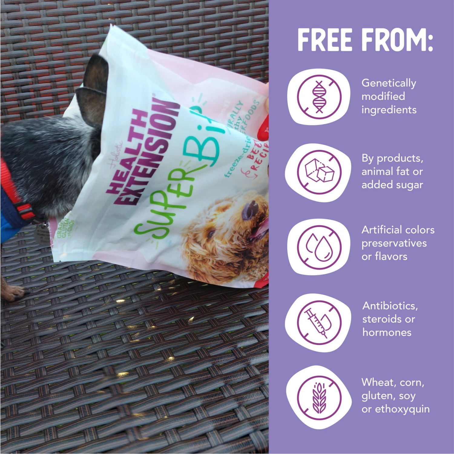 Health Extension Super Bites Beef Recipe Freeze-Dried Raw Dog Food Mixer 7 Health Extension Super Bites Beef Recipe Freeze-Dried Raw Dog Food Mixer - Image 5