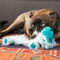 KONG Low Stuff Scruffs Dog Toy, Large 8 KONG Low Stuff Scruffs Dog Toy, Large -Blue Buffalo Shop 209776 PT2. AC SS1800 V1631773222