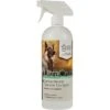 UltraCruz Natural Dog Flea & Tick Spray 2 UltraCruz Natural Dog Flea & Tick Spray -Blue Buffalo Shop 210400 main. AC SS1800 V1573757605