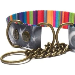 Merry Jane & Thor Starry Night Polyester Martingale Dog Collar -Blue Buffalo Shop 211468 PT3. AC SS1800 V1628232692