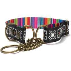 Merry Jane & Thor Tribeca Polyester Martingale Dog Collar