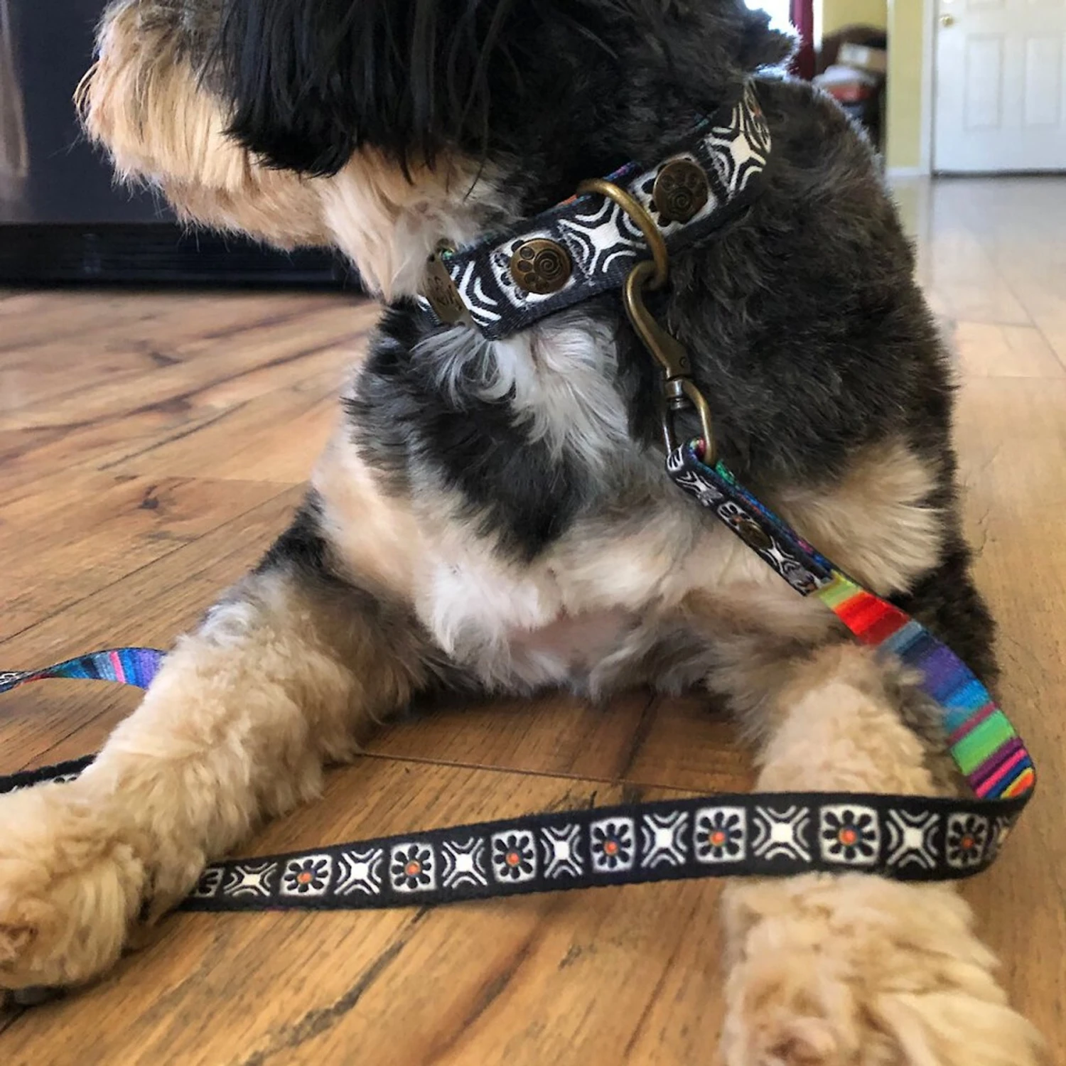 Merry Jane & Thor Tribeca Polyester Dog Leash 4 Merry Jane & Thor Tribeca Polyester Dog Leash - Image 2