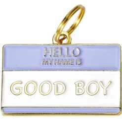 Two Tails Pet Company Hello My Name Is Good Boy Personalized Dog & Cat ID Tag