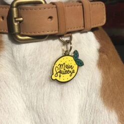 Two Tails Pet Company Main Squeeze Personalized Dog & Cat ID Tag 8 Two Tails Pet Company Main Squeeze Personalized Dog & Cat ID Tag -Blue Buffalo Shop 211585 pt2. AC SS1800 V1577800982